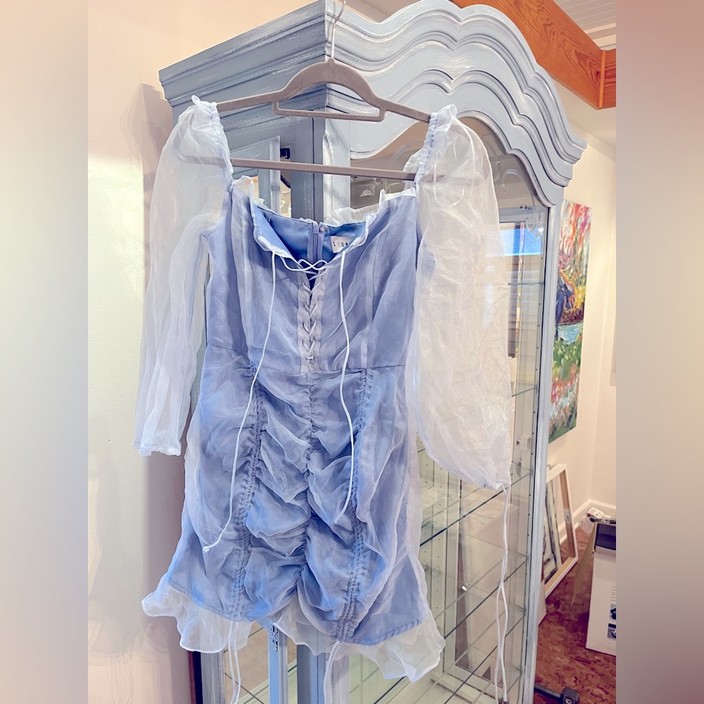 Lioness Princess Dress
